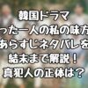 韓国ドラマ『たった一人の私の味方』のあらすじネタバレを結末まで解説！真犯人の正体は？